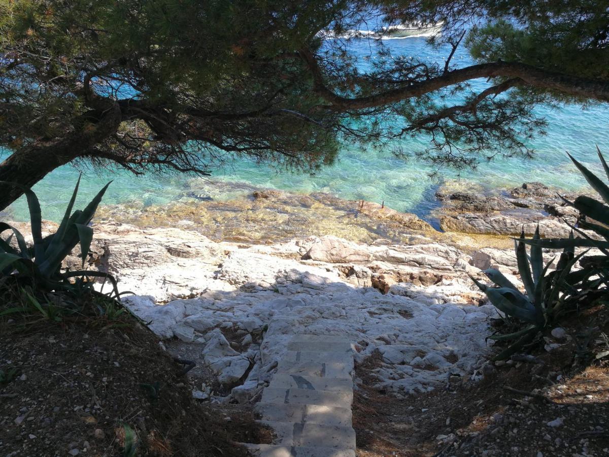 Apartments Jadra Omiš Kültér fotó